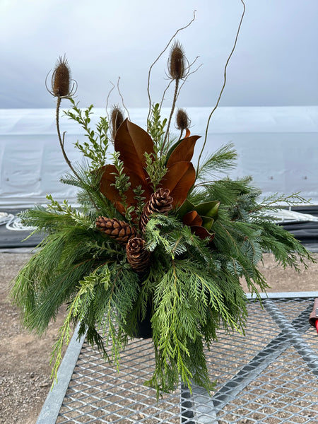 10" Hanging Basket Workshop (November 14)