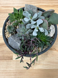 Succulent Workshop