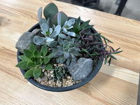 Succulent Workshop