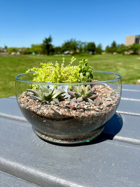 Build your own terrarium workshop - Wednesday July 8th @ 6pm