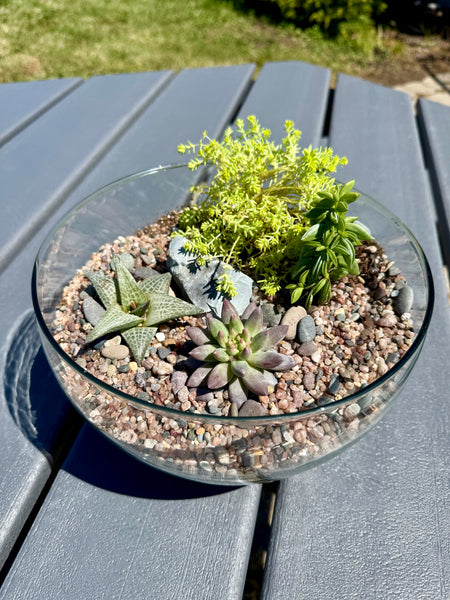 Build your own terrarium workshop - Wednesday July 8th @ 6pm