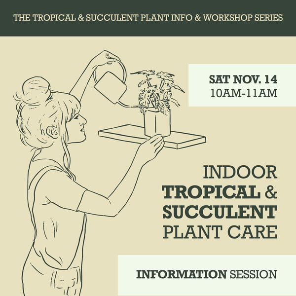 Indoor Tropical & Succulent Plant Care Information Session